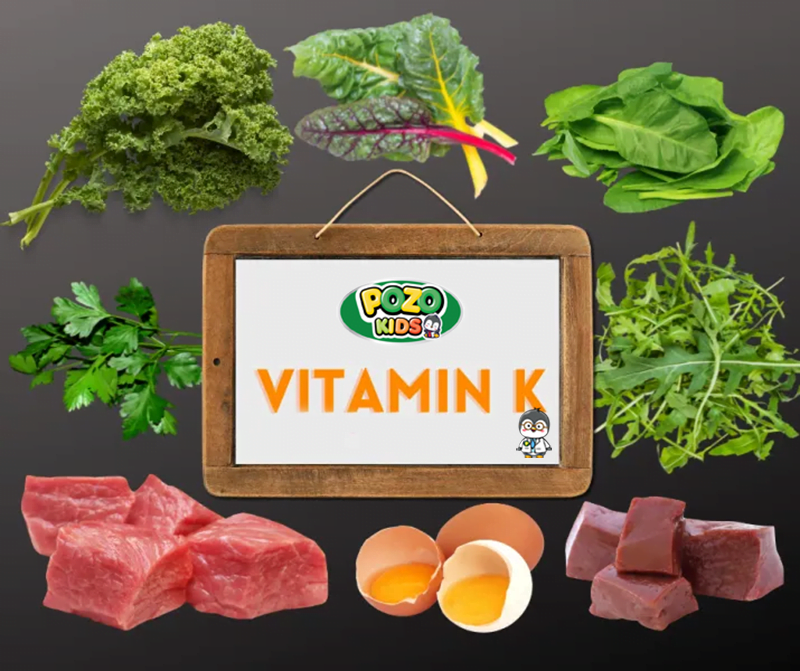 Tim Hiểu Vitamin K