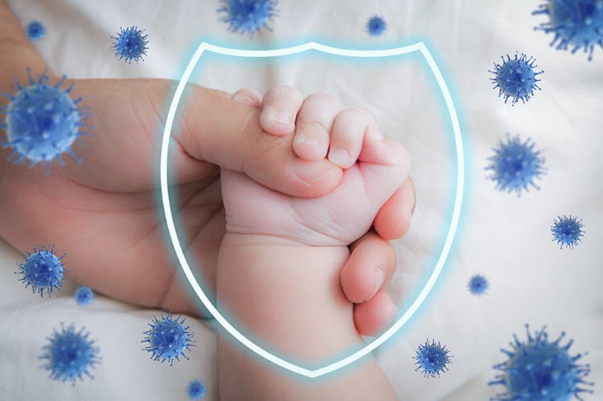 Hệ miễn dịch là gì?